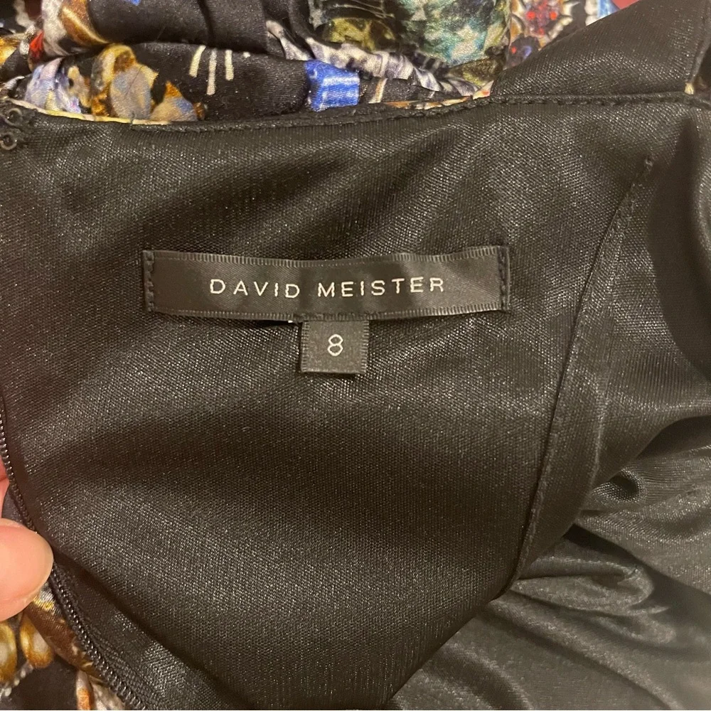 DAVID MEISTER RUCHED DRESS - Picture 12 of 12